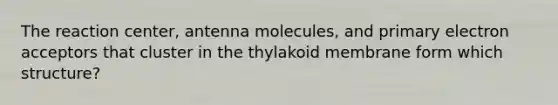 The reaction center, antenna molecules, and primary electron acceptors that cluster in the thylakoid membrane form which structure?