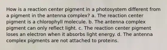 How is a reaction center pigment in a photosystem different from a pigment in the antenna complex? a. The reaction center pigment is a chlorophyll molecule. b. The antenna complex pigment can only reflect light. c. The reaction center pigment loses an electron when it absorbs light energy. d. The antenna complex pigments are not attached to proteins.