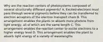 Why are the reaction centers of photosystems composed of several structurally different pigments? A. Excited electrons must pass through several pigments before they can be transferred to electron acceptors of the electron transport chain B. This arrangement enables the plants to absorb more photons from light energy, all of which are the same length C. This arrangement enables the reaction center to excite electrons to a higher energy level D. This arrangement enables the plant to absorb light energy of a variety of wavelengths