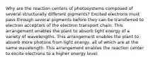 Why are the reaction centers of photosystems composed of several structurally different pigments? Excited electrons must pass through several pigments before they can be transferred to electron acceptors of the electron transport chain. This arrangement enables the plant to absorb light energy of a variety of wavelengths. This arrangement enables the plant to absorb more photons from light energy, all of which are at the same wavelength. This arrangement enables the reaction center to excite electrons to a higher energy level.