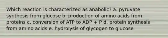 Which reaction is characterized as anabolic? a. pyruvate synthesis from glucose b. production of amino acids from proteins c. conversion of ATP to ADP + P d. protein synthesis from amino acids e. hydrolysis of glycogen to glucose