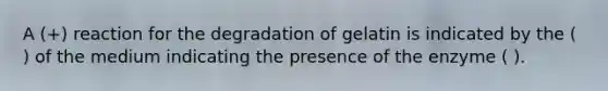 A (+) reaction for the degradation of gelatin is indicated by the ( ) of the medium indicating the presence of the enzyme ( ).