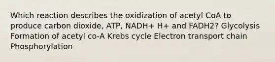 Which reaction describes the oxidization of acetyl CoA to produce carbon dioxide, ATP, NADH+ H+ and FADH2? Glycolysis Formation of acetyl co-A <a href='https://www.questionai.com/knowledge/kqfW58SNl2-krebs-cycle' class='anchor-knowledge'>krebs cycle</a> Electron transport chain Phosphorylation