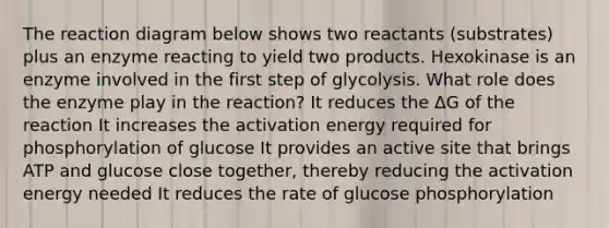 The reaction diagram below shows two reactants (substrates) plus an enzyme reacting to yield two products. Hexokinase is an enzyme involved in the first step of glycolysis. What role does the enzyme play in the reaction? It reduces the ΔG of the reaction It increases the activation energy required for phosphorylation of glucose It provides an active site that brings ATP and glucose close together, thereby reducing the activation energy needed It reduces the rate of glucose phosphorylation