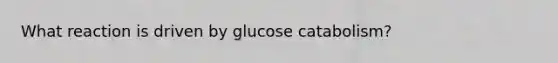 What reaction is driven by glucose catabolism?