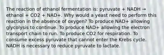 The reaction of ethanol fermentation is: pyruvate + NADH → ethanol + CO2 + NAD+. Why would a yeast need to perform this reaction in the absence of oxygen? To produce NAD+ allowing glycolysis to continue. To produce NAD+ allowing the electron transport chain to run. To produce CO2 for respiration. To consume excess pyruvate that cannot enter the Krebs cycle. NADH is necessary to reduce pyruvate to lactate.