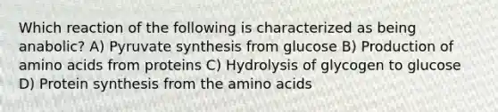 Which reaction of the following is characterized as being anabolic? A) Pyruvate synthesis from glucose B) Production of <a href='https://www.questionai.com/knowledge/k9gb720LCl-amino-acids' class='anchor-knowledge'>amino acids</a> from proteins C) Hydrolysis of glycogen to glucose D) <a href='https://www.questionai.com/knowledge/kVyphSdCnD-protein-synthesis' class='anchor-knowledge'>protein synthesis</a> from the amino acids