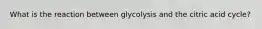 What is the reaction between glycolysis and the citric acid cycle?