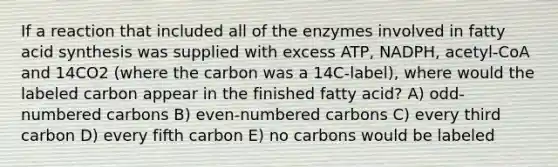 If a reaction that included all of the enzymes involved in fatty acid synthesis was supplied with excess ATP, NADPH, acetyl-CoA and 14CO2 (where the carbon was a 14C-label), where would the labeled carbon appear in the finished fatty acid? A) odd-numbered carbons B) even-numbered carbons C) every third carbon D) every fifth carbon E) no carbons would be labeled