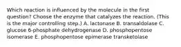 Which reaction is influenced by the molecule in the first question? Choose the enzyme that catalyzes the reaction. (This is the major controlling step.) A. lactonase B. transaldolase C. glucose 6‑phosphate dehydrogenase D. phosphopentose isomerase E. phosphopentose epimerase transketolase