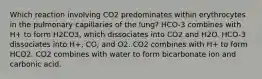 Which reaction involving CO2 predominates within erythrocytes in the pulmonary capillaries of the lung? HCO-3 combines with H+ to form H2CO3, which dissociates into CO2 and H2O. HCO-3 dissociates into H+, CO, and O2. CO2 combines with H+ to form HCO2. CO2 combines with water to form bicarbonate ion and carbonic acid.