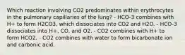 Which reaction involving CO2 predominates within erythrocytes in the pulmonary capillaries of the lung? - HCO-3 combines with H+ to form H2CO3, which dissociates into CO2 and H2O. - HCO-3 dissociates into H+, CO, and O2. - CO2 combines with H+ to form HCO2. - CO2 combines with water to form bicarbonate ion and carbonic acid.