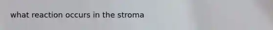 what reaction occurs in the stroma