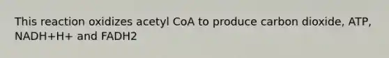 This reaction oxidizes acetyl CoA to produce carbon dioxide, ATP, NADH+H+ and FADH2