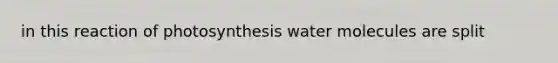 in this reaction of photosynthesis water molecules are split