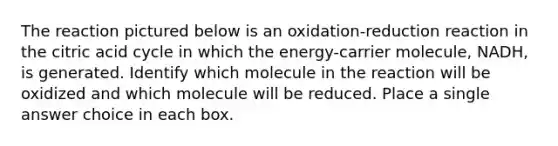 The reaction pictured below is an oxidation-reduction reaction in the citric acid cycle in which the energy-carrier molecule, NADH, is generated. Identify which molecule in the reaction will be oxidized and which molecule will be reduced. Place a single answer choice in each box.