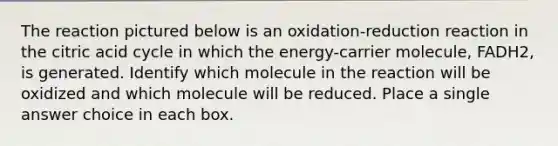 The reaction pictured below is an oxidation-reduction reaction in the citric acid cycle in which the energy-carrier molecule, FADH2, is generated. Identify which molecule in the reaction will be oxidized and which molecule will be reduced. Place a single answer choice in each box.