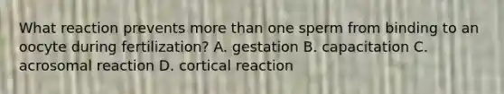 What reaction prevents <a href='https://www.questionai.com/knowledge/keWHlEPx42-more-than' class='anchor-knowledge'>more than</a> one sperm from binding to an oocyte during fertilization? A. gestation B. capacitation C. acrosomal reaction D. cortical reaction