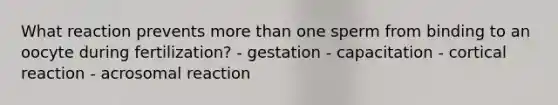 What reaction prevents more than one sperm from binding to an oocyte during fertilization? - gestation - capacitation - cortical reaction - acrosomal reaction