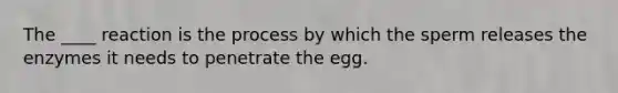 The ____ reaction is the process by which the sperm releases the enzymes it needs to penetrate the egg.