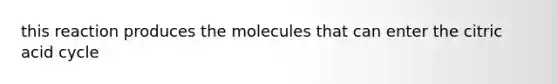 this reaction produces the molecules that can enter the citric acid cycle