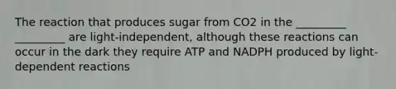 The reaction that produces sugar from CO2 in the _________ _________ are light-independent, although these reactions can occur in the dark they require ATP and NADPH produced by light-dependent reactions