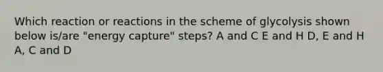 Which reaction or reactions in the scheme of glycolysis shown below is/are "energy capture" steps? A and C E and H D, E and H A, C and D