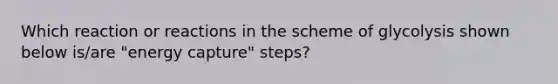 Which reaction or reactions in the scheme of glycolysis shown below is/are "energy capture" steps?