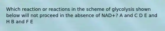 Which reaction or reactions in the scheme of glycolysis shown below will not proceed in the absence of NAD+? A and C D E and H B and F E