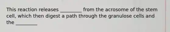 This reaction releases _________ from the acrosome of the stem cell, which then digest a path through the granulose cells and the _________