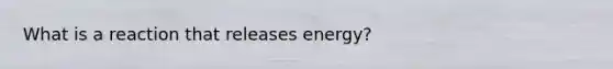 What is a reaction that releases energy?