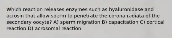 Which reaction releases enzymes such as hyaluronidase and acrosin that allow sperm to penetrate the corona radiata of the secondary oocyte? A) sperm migration B) capacitation C) cortical reaction D) acrosomal reaction