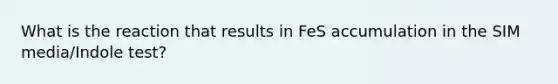 What is the reaction that results in FeS accumulation in the SIM media/Indole test?