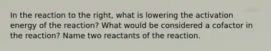 In the reaction to the right, what is lowering the activation energy of the reaction? What would be considered a cofactor in the reaction? Name two reactants of the reaction.