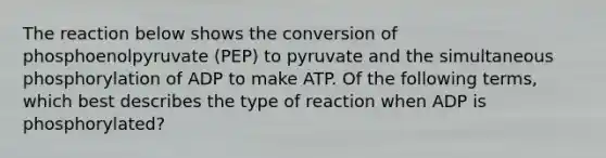 The reaction below shows the conversion of phosphoenolpyruvate (PEP) to pyruvate and the simultaneous phosphorylation of ADP to make ATP. Of the following terms, which best describes the type of reaction when ADP is phosphorylated?