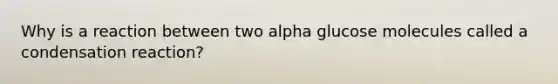 Why is a reaction between two alpha glucose molecules called a <a href='https://www.questionai.com/knowledge/k8Deddm3jX-condensation-reaction' class='anchor-knowledge'>condensation reaction</a>?