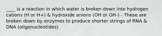 ____ is a reaction in which water is broken down into hydrogen cations (H or H+) & hydroxide anions (OH or OH-) - These are broken down by enzymes to produce shorter strings of RNA & DNA (oligonucleotides)