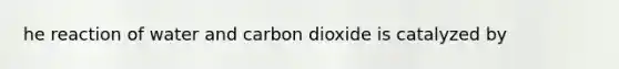 he reaction of water and carbon dioxide is catalyzed by