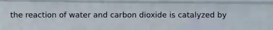 the reaction of water and carbon dioxide is catalyzed by