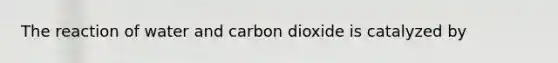 The reaction of water and carbon dioxide is catalyzed by