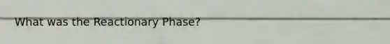 What was the Reactionary Phase?