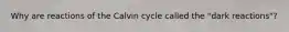 Why are reactions of the Calvin cycle called the "dark reactions"?