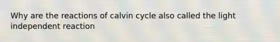 Why are the reactions of calvin cycle also called the light independent reaction