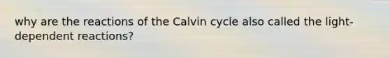 why are the reactions of the Calvin cycle also called the light-dependent reactions?