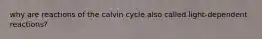 why are reactions of the calvin cycle also called light-dependent reactions?