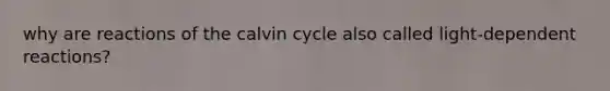 why are reactions of the calvin cycle also called light-dependent reactions?