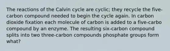 The reactions of the Calvin cycle are cyclic; they recycle the five-carbon compound needed to begin the cycle again. In carbon dioxide fixation each molecule of carbon is added to a five-carbo compound by an enzyme. The resulting six-carbon compound splits into two three-carbon compounds phosphate groups form what?