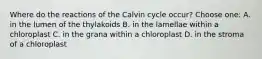 Where do the reactions of the Calvin cycle occur? Choose one: A. in the lumen of the thylakoids B. in the lamellae within a chloroplast C. in the grana within a chloroplast D. in the stroma of a chloroplast