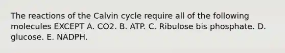 The reactions of the Calvin cycle require all of the following molecules EXCEPT A. CO2. B. ATP. C. Ribulose bis phosphate. D. glucose. E. NADPH.