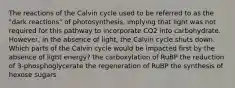 The reactions of the Calvin cycle used to be referred to as the "dark reactions" of photosynthesis, implying that light was not required for this pathway to incorporate CO2 into carbohydrate. However, in the absence of light, the Calvin cycle shuts down. Which parts of the Calvin cycle would be impacted first by the absence of light energy? the carboxylation of RuBP the reduction of 3-phosphoglycerate the regeneration of RuBP the synthesis of hexose sugars